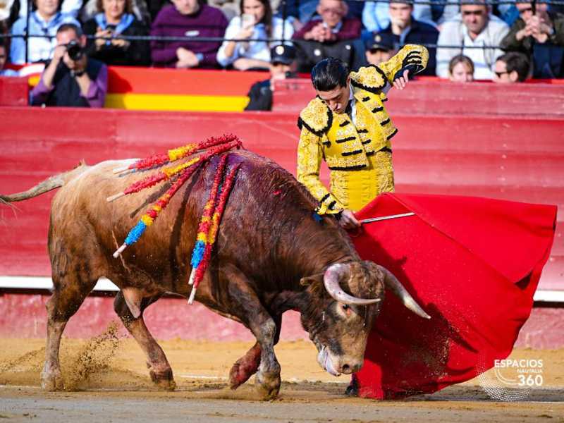 Imagen 15