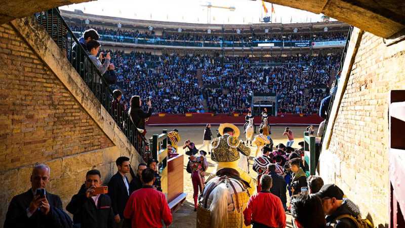 Imagen 17