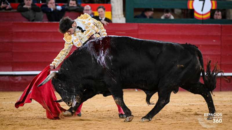Imagen 22