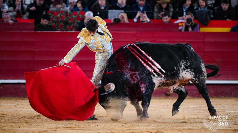 Imagen 25