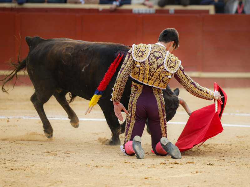 Imagen 6