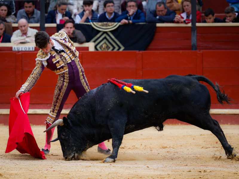 Imagen 7
