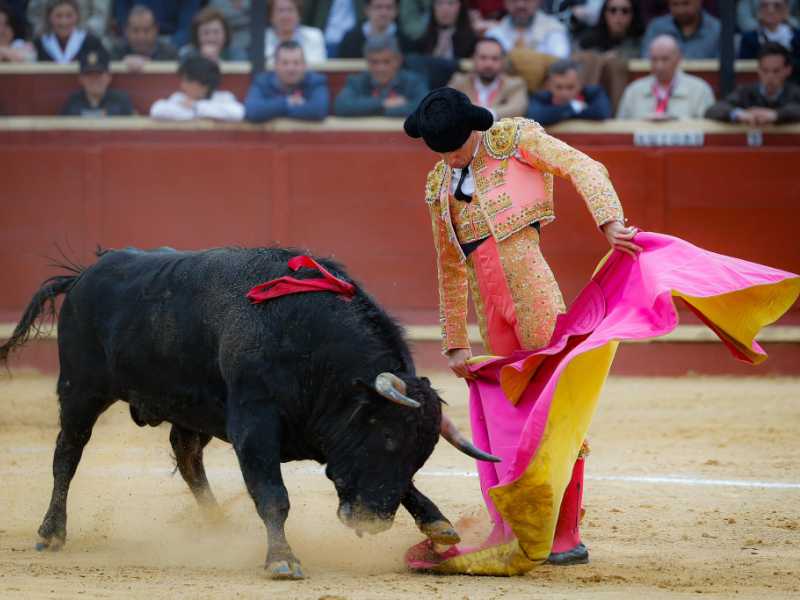 Imagen 8