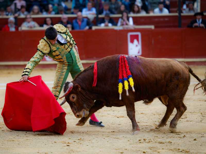Imagen 9