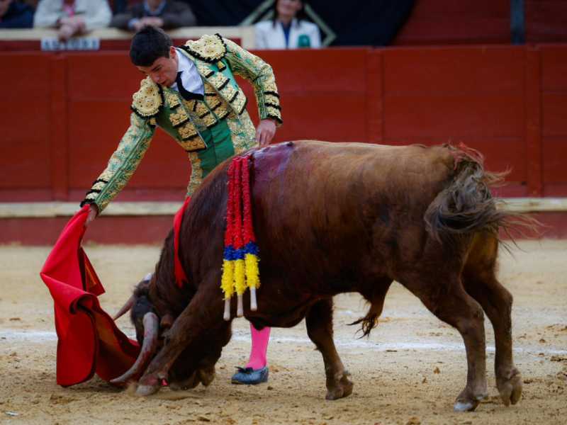Imagen 10