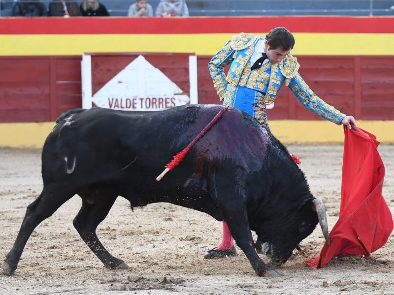 Imagen 1