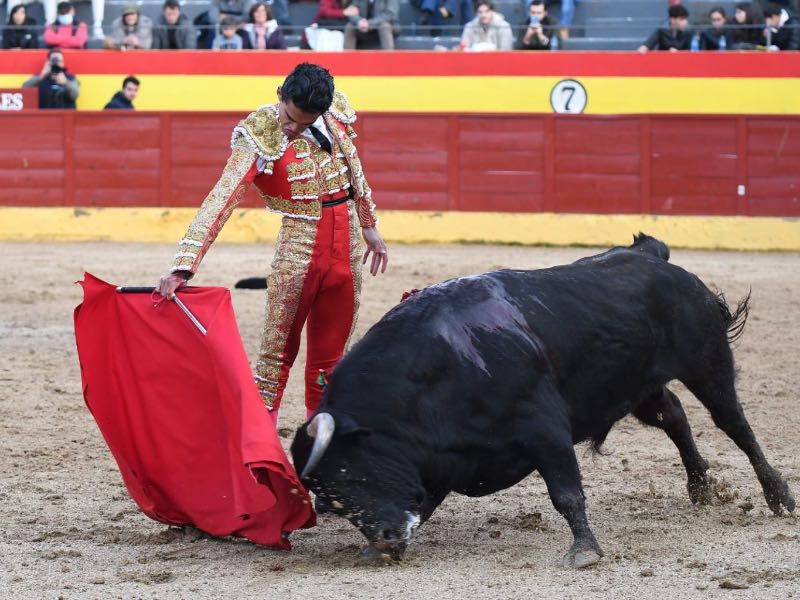 Imagen 2
