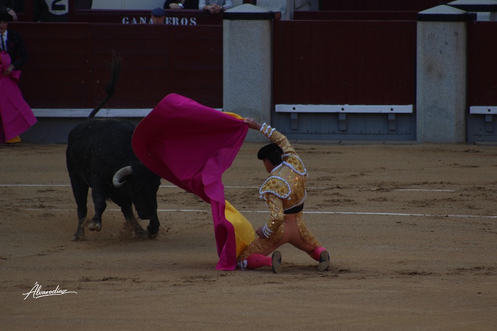Imagen 1