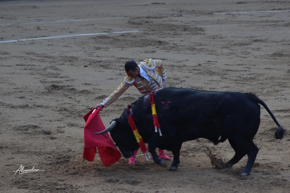Imagen 2