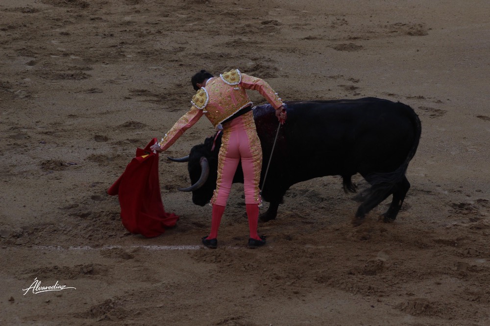 Imagen 3