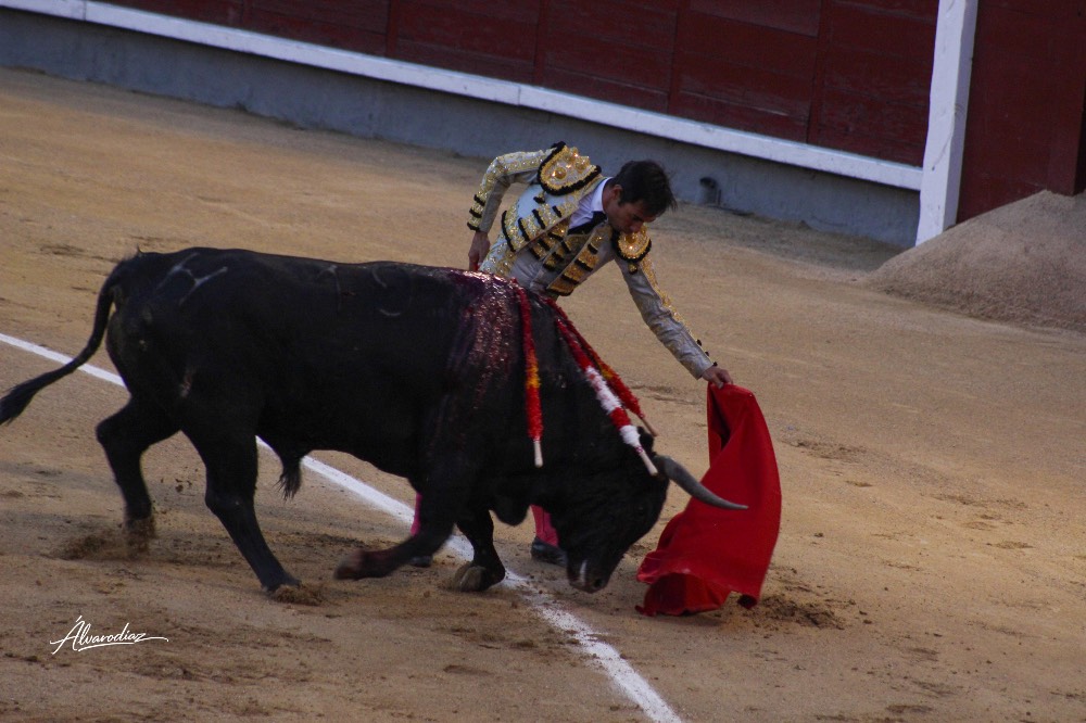 Imagen 4