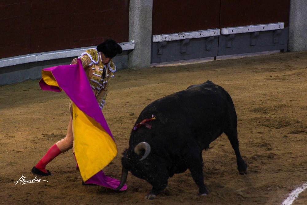 Imagen 6