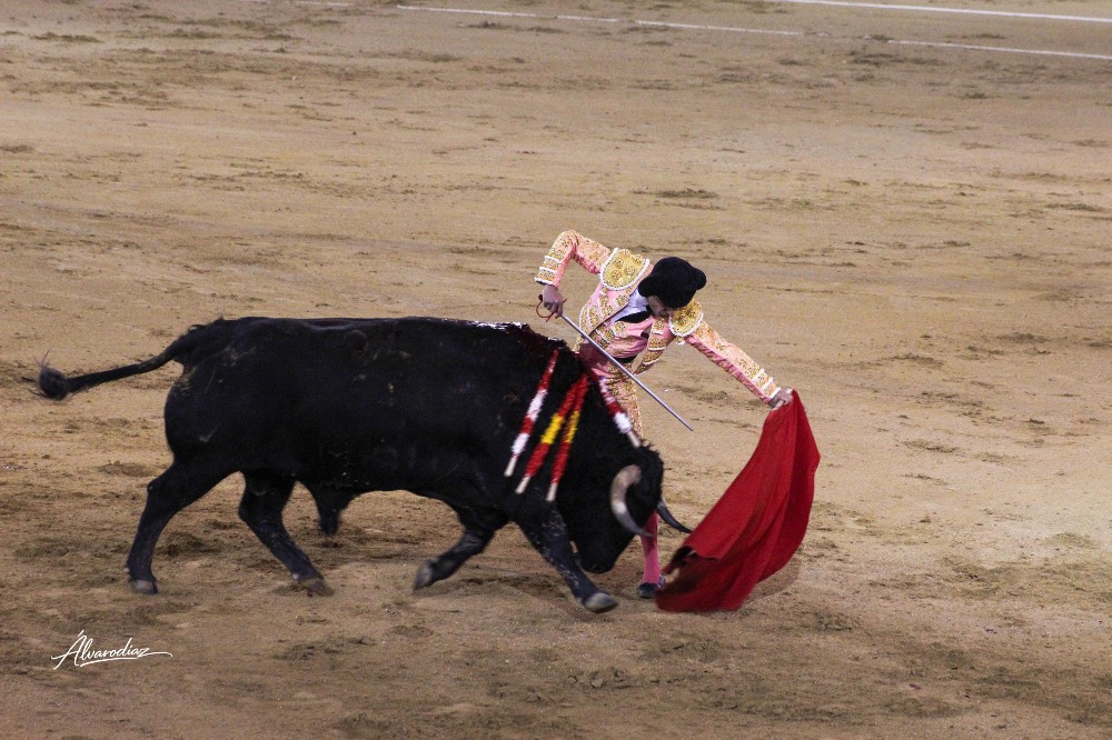Imagen 8