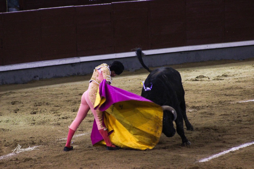 Imagen 9