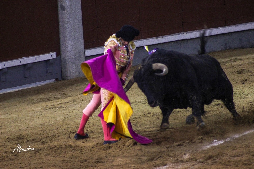 Imagen 10