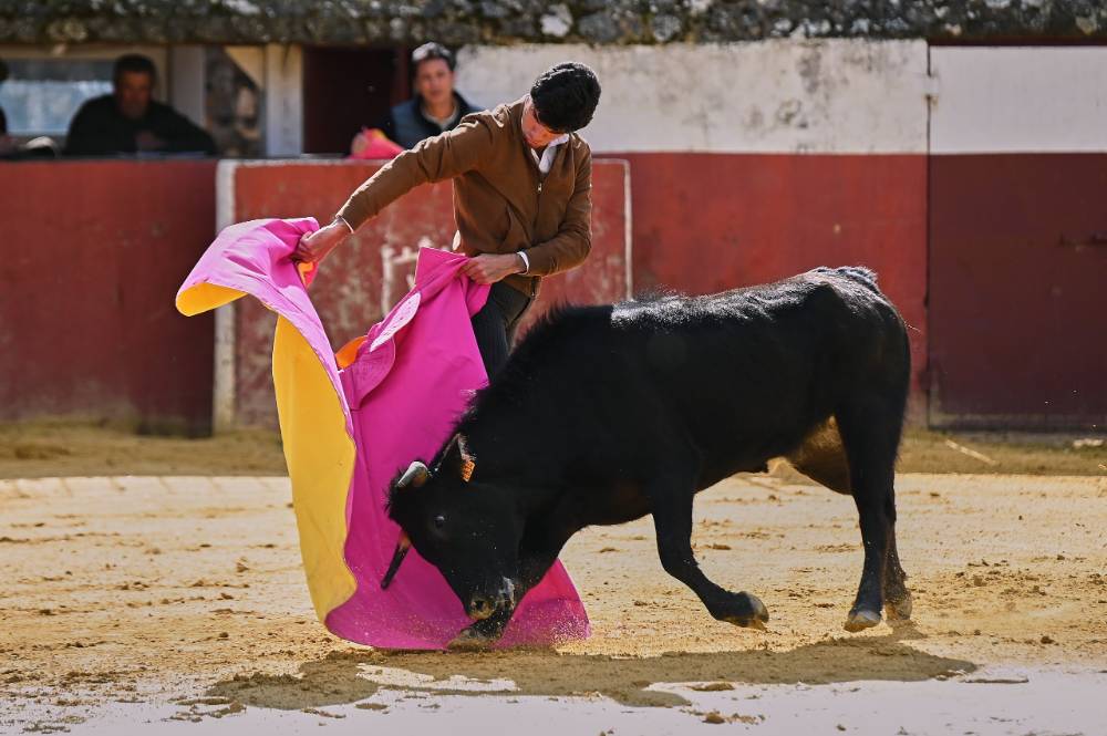 Imagen 5