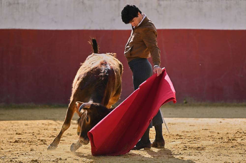 Imagen 7