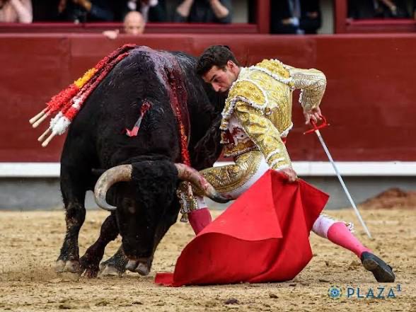 Imagen 2