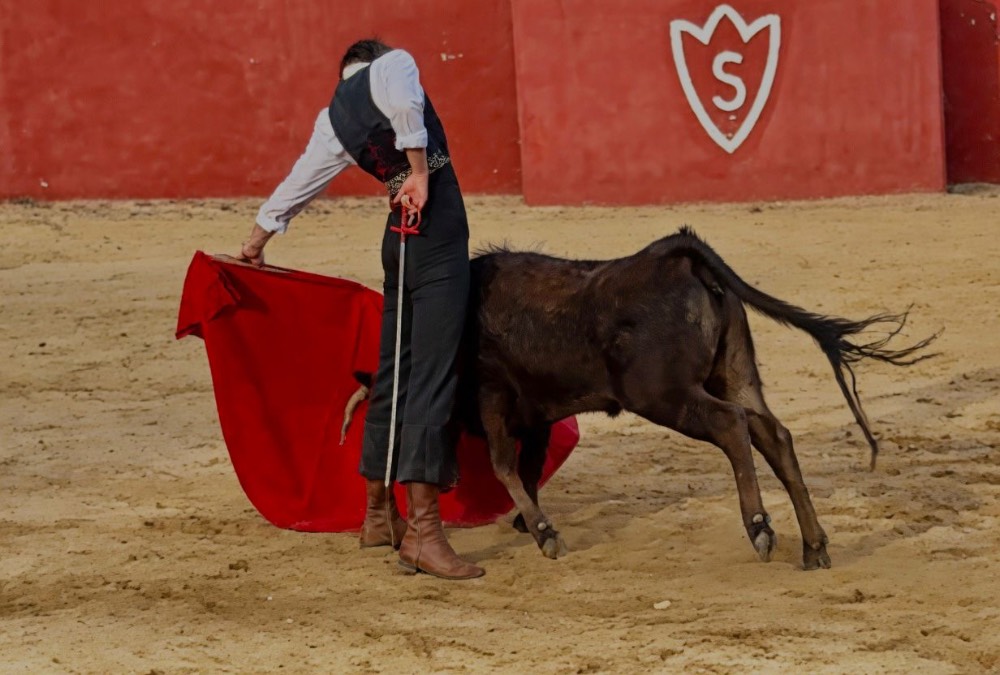 Imagen 1