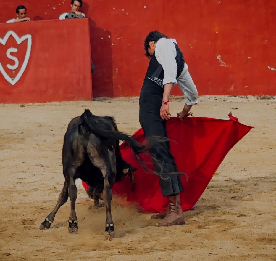 Imagen 4