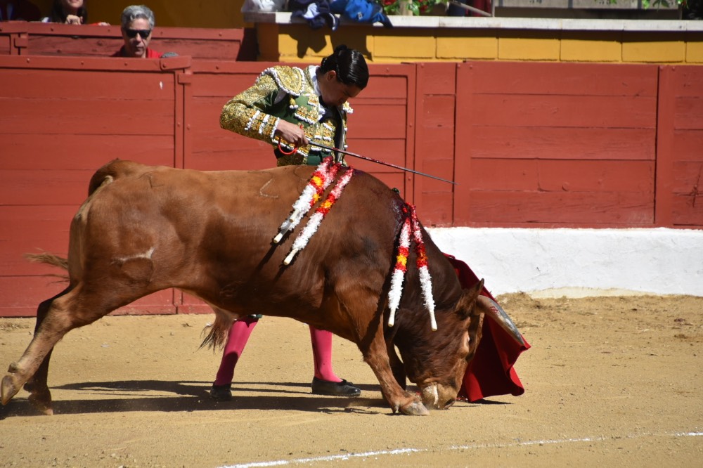 Imagen 2