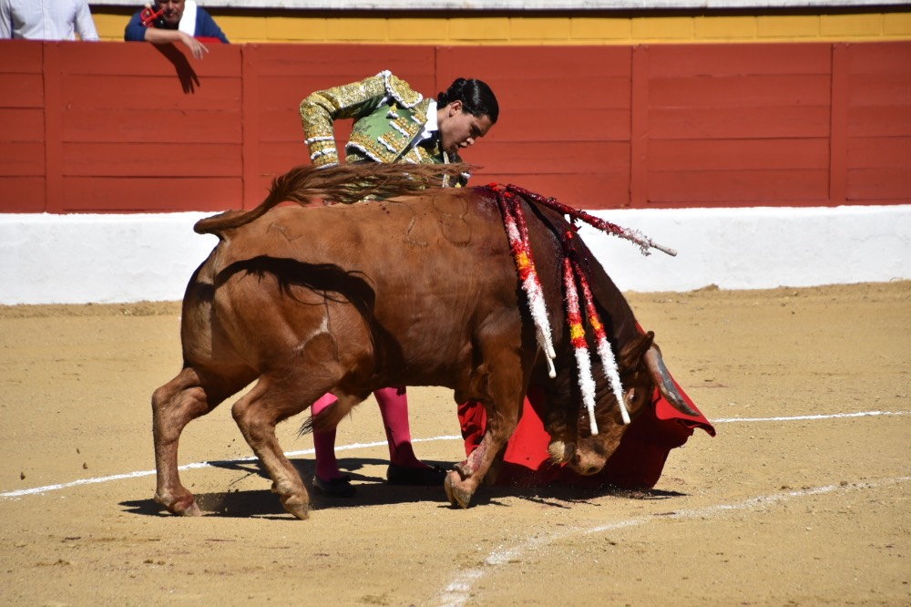 Imagen 3