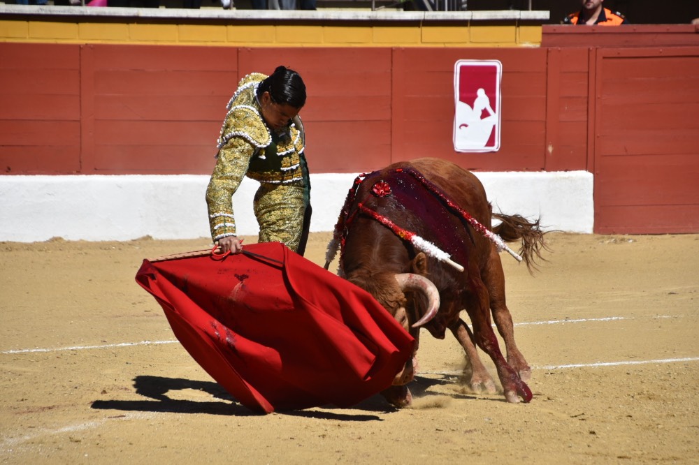 Imagen 4