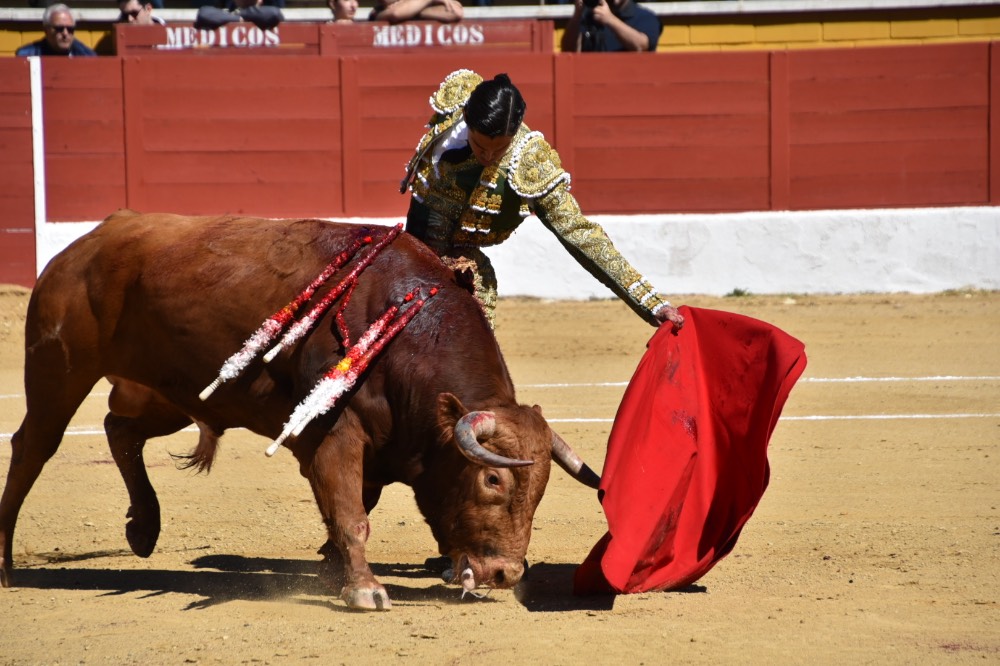 Imagen 5