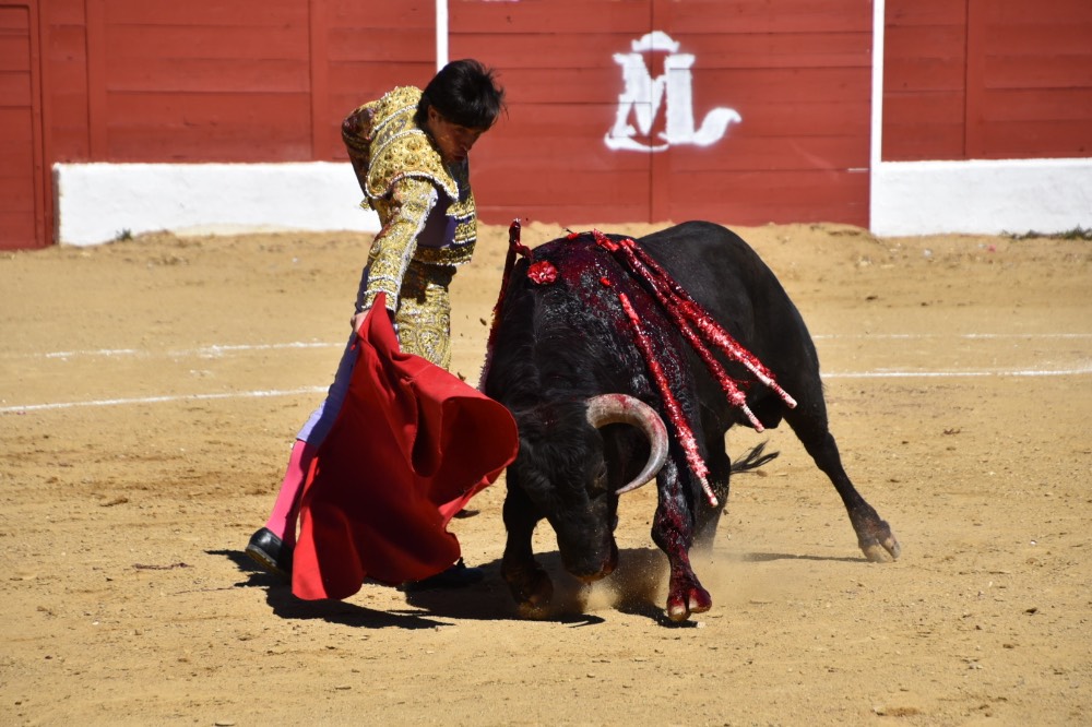 Imagen 6