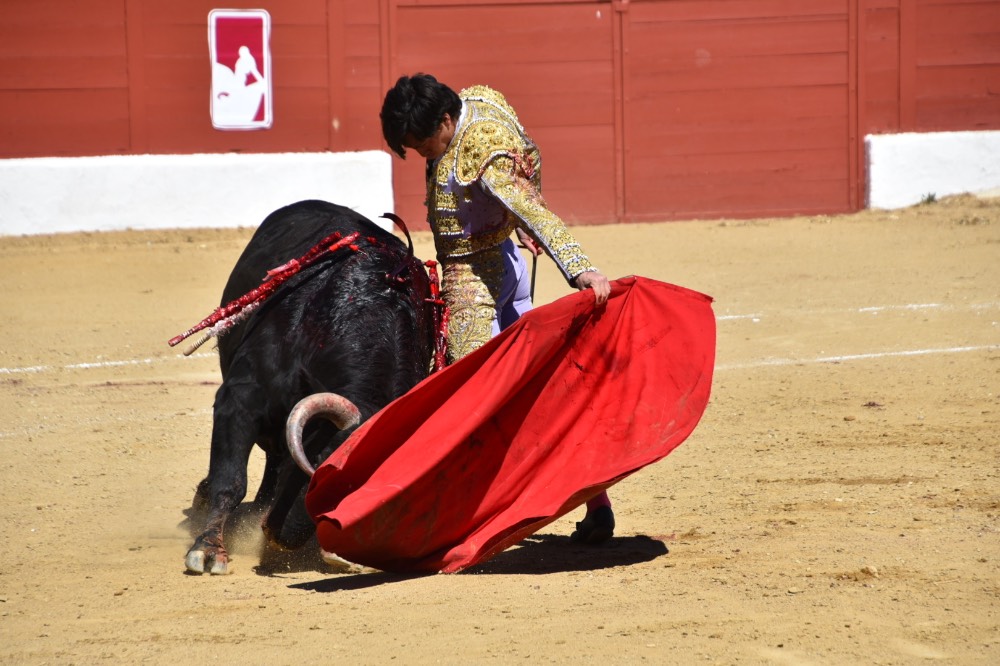 Imagen 7