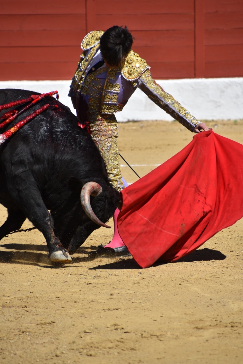 Imagen 8
