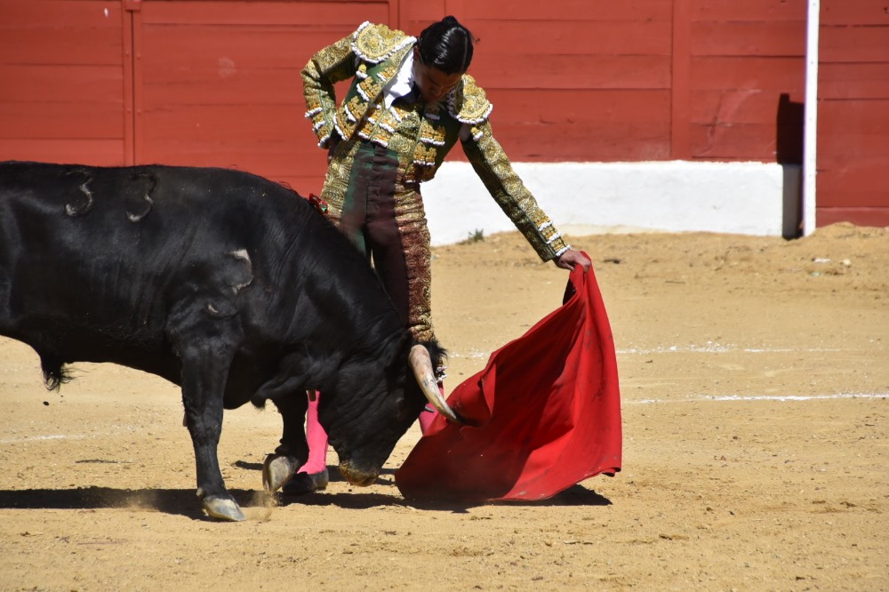 Imagen 9