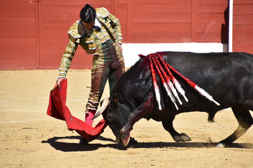 Imagen 10