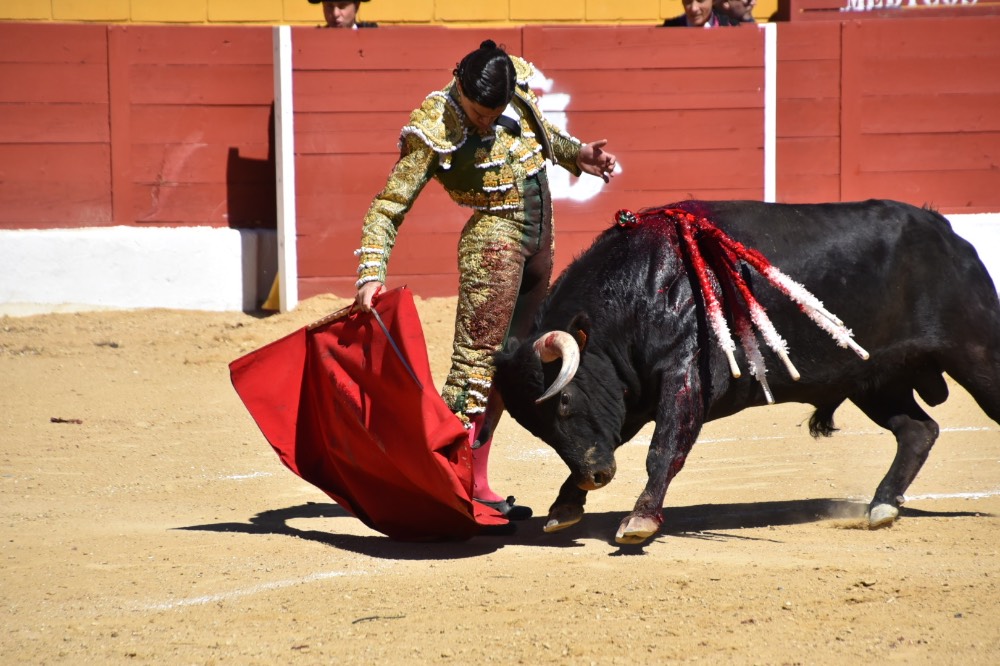 Imagen 11