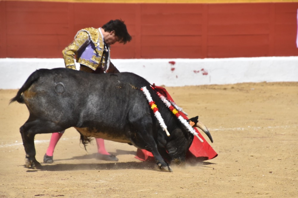 Imagen 12