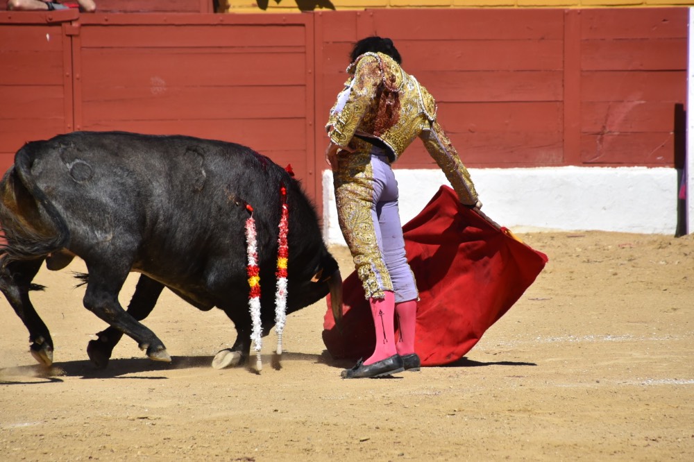 Imagen 13