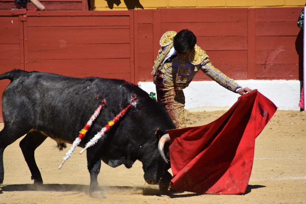 Imagen 14