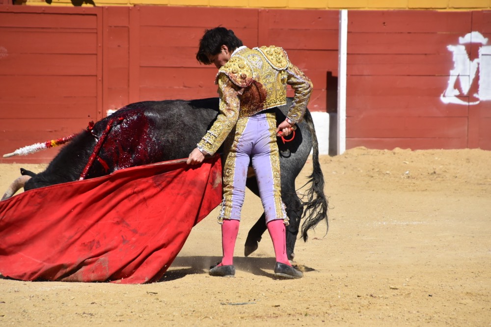 Imagen 15