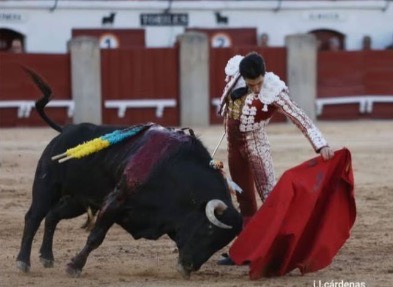 Imagen 1
