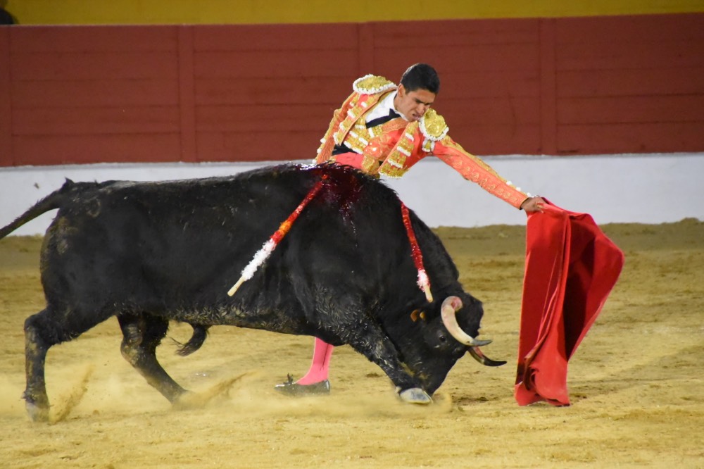 Imagen 1