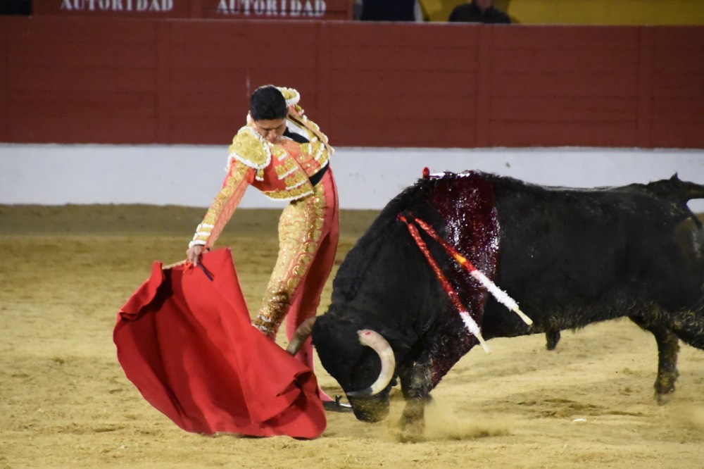 Imagen 2