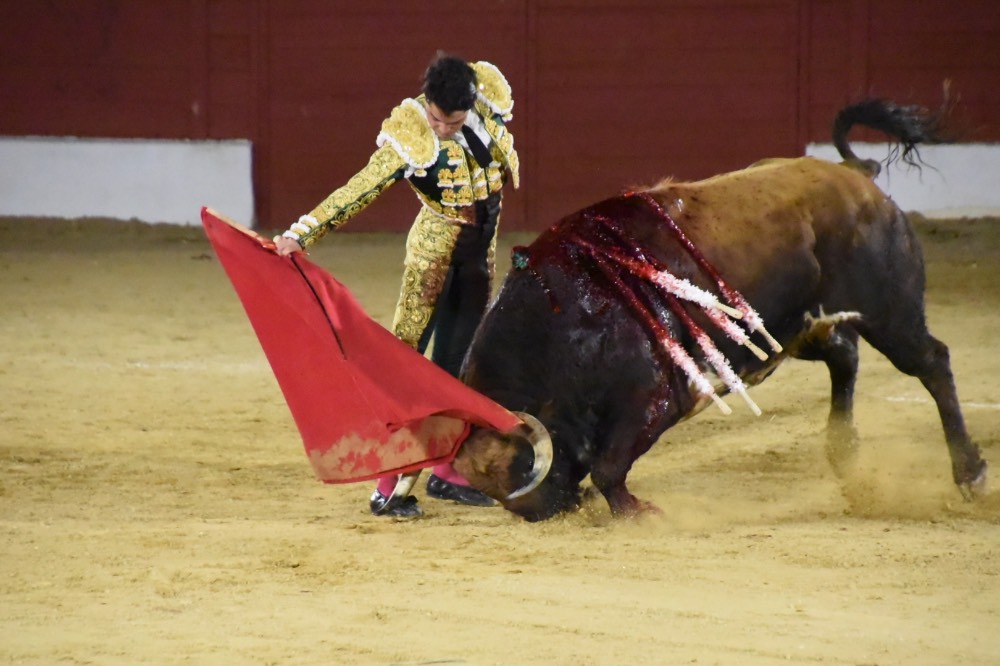Imagen 3