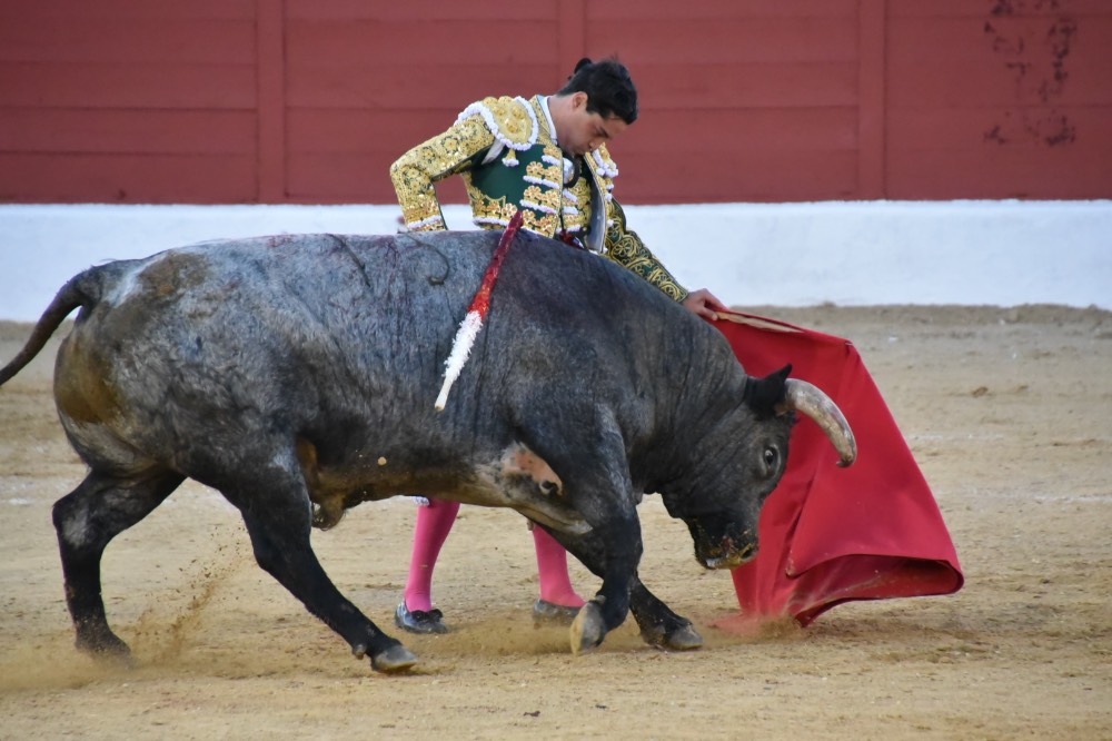 Imagen 5