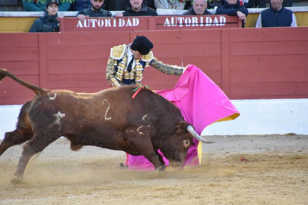 Imagen 6