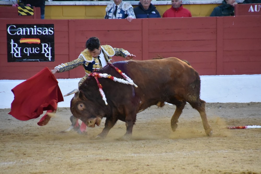 Imagen 7