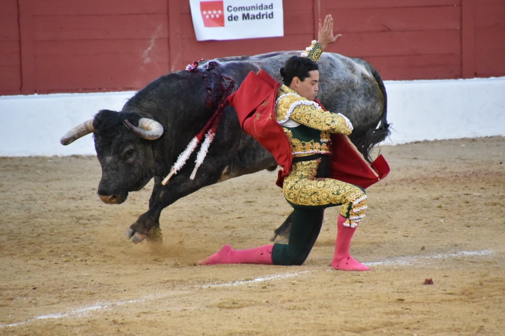 Imagen 8