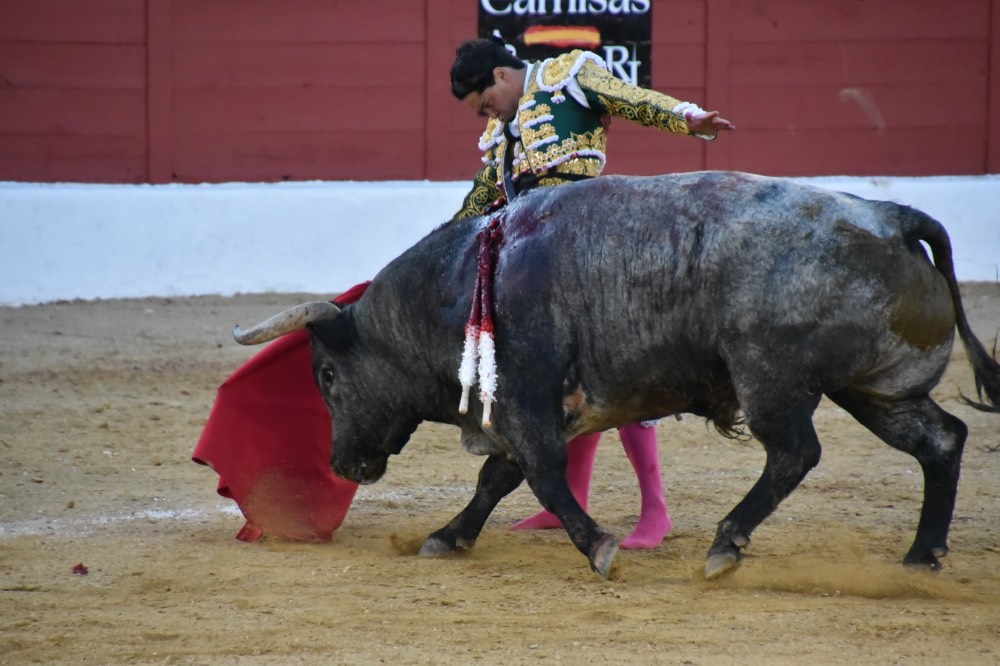 Imagen 9