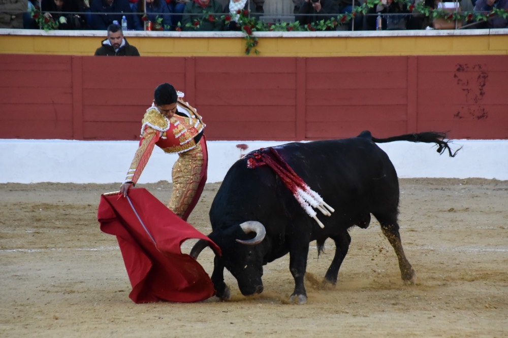 Imagen 10