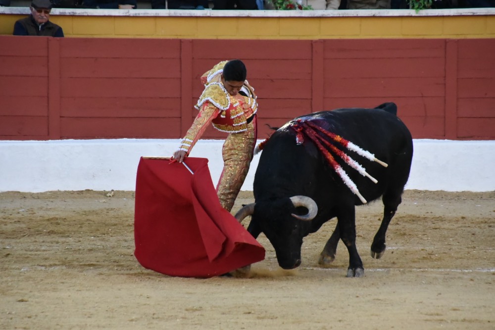 Imagen 11
