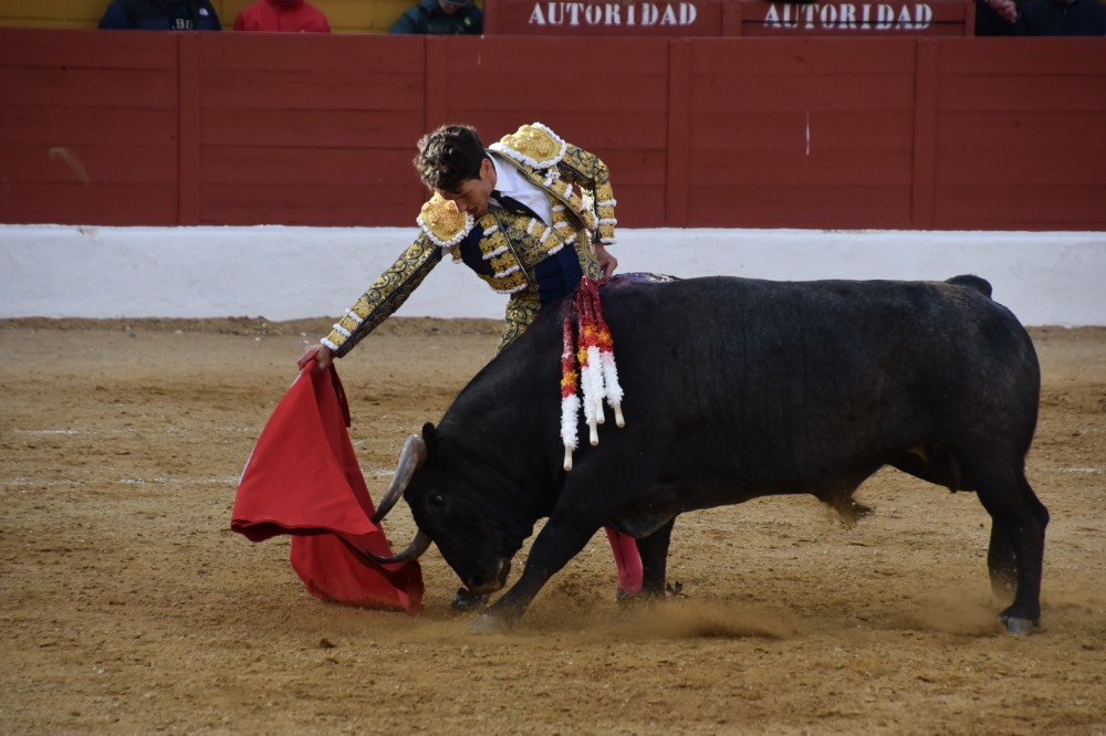 Imagen 12